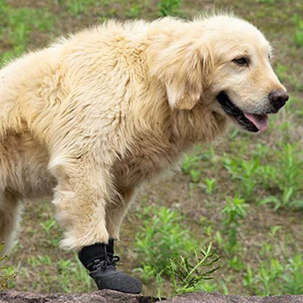 Outdoor Waterproof Breathable Hiking Running Anti-slip Dog Boots