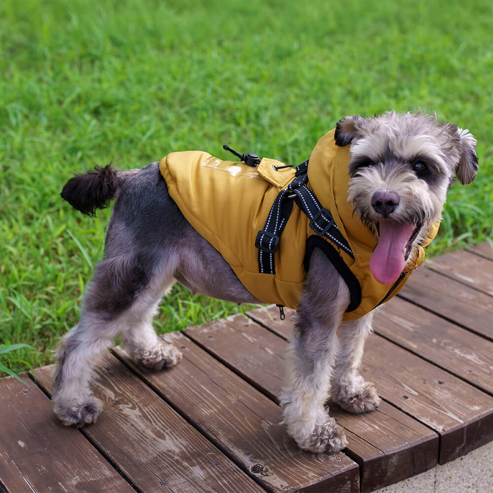 Adjustable Insulated Cozy Hooded Dog Harness Jacket