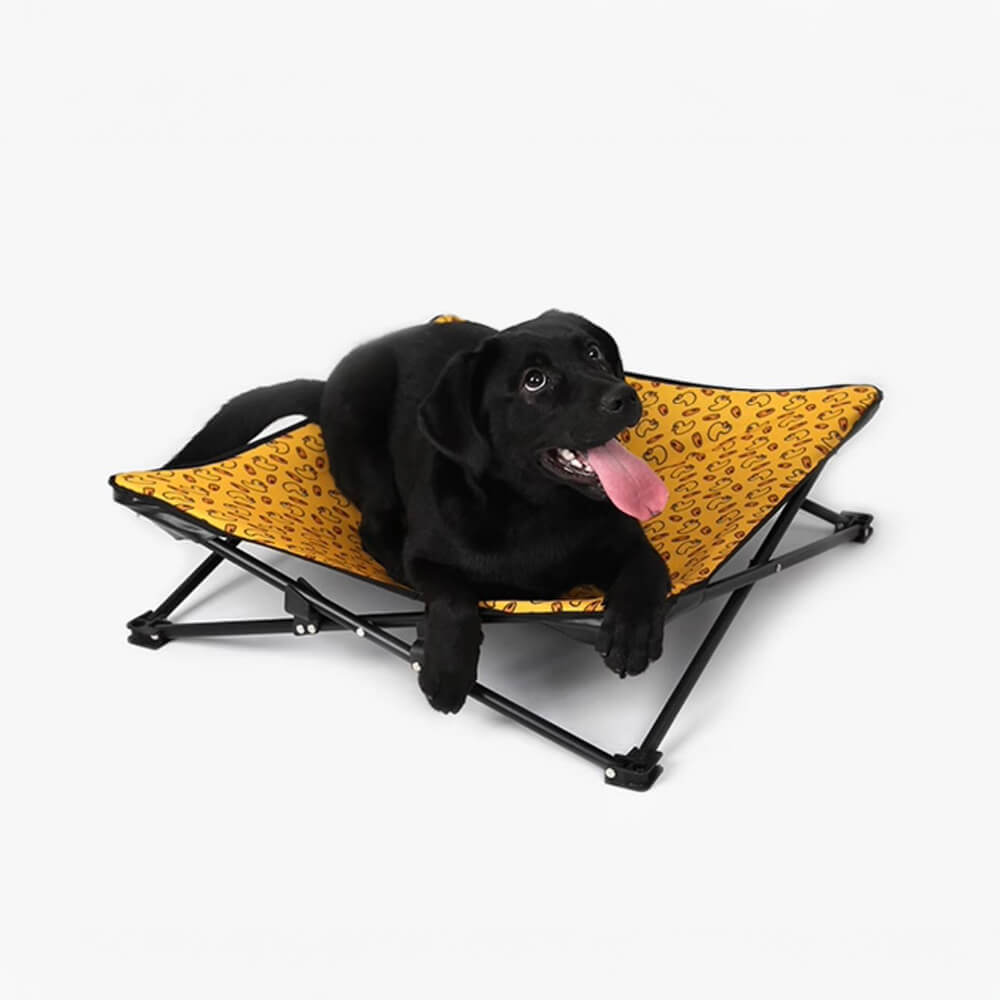 Colorful Pattern Elevated Dog Bed - Multiple Fun Designs