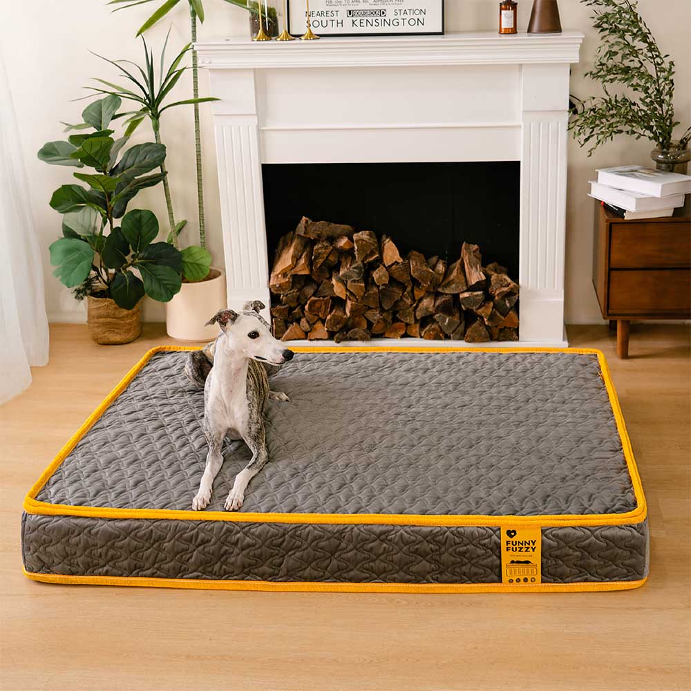 Hooman Innerspring Coils Orthopedic Human Dog Bed - Everdream