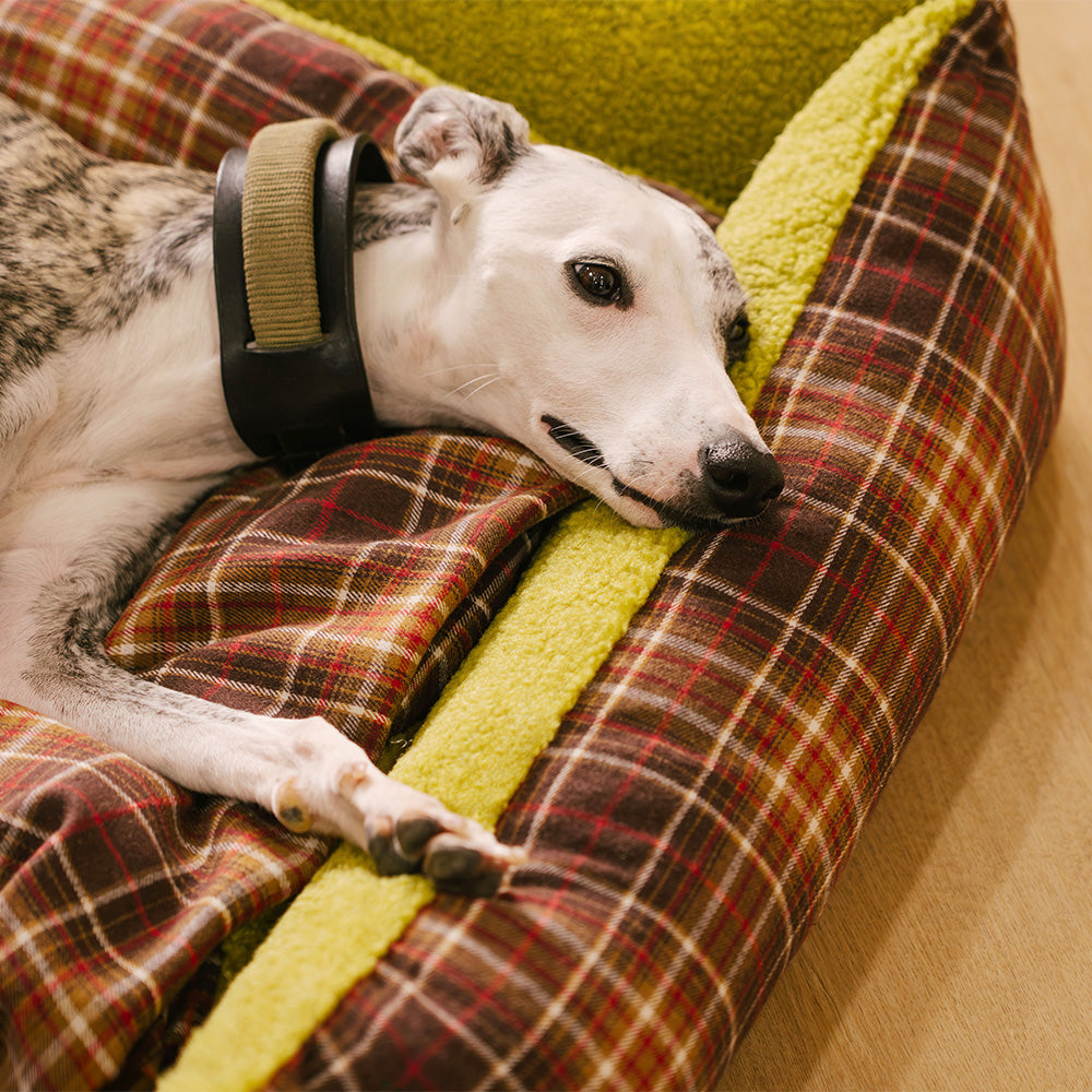 Large Washable Vintage Tartan Folding Blanket Dog Beds - Avocuddle