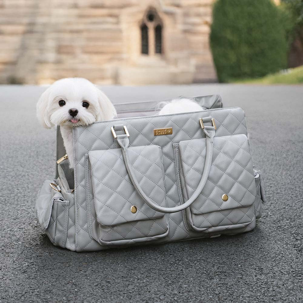 Large Carrying Stylish Multi-Functional Human-Dog Shared Travel Pet Bag - Wandering Tail