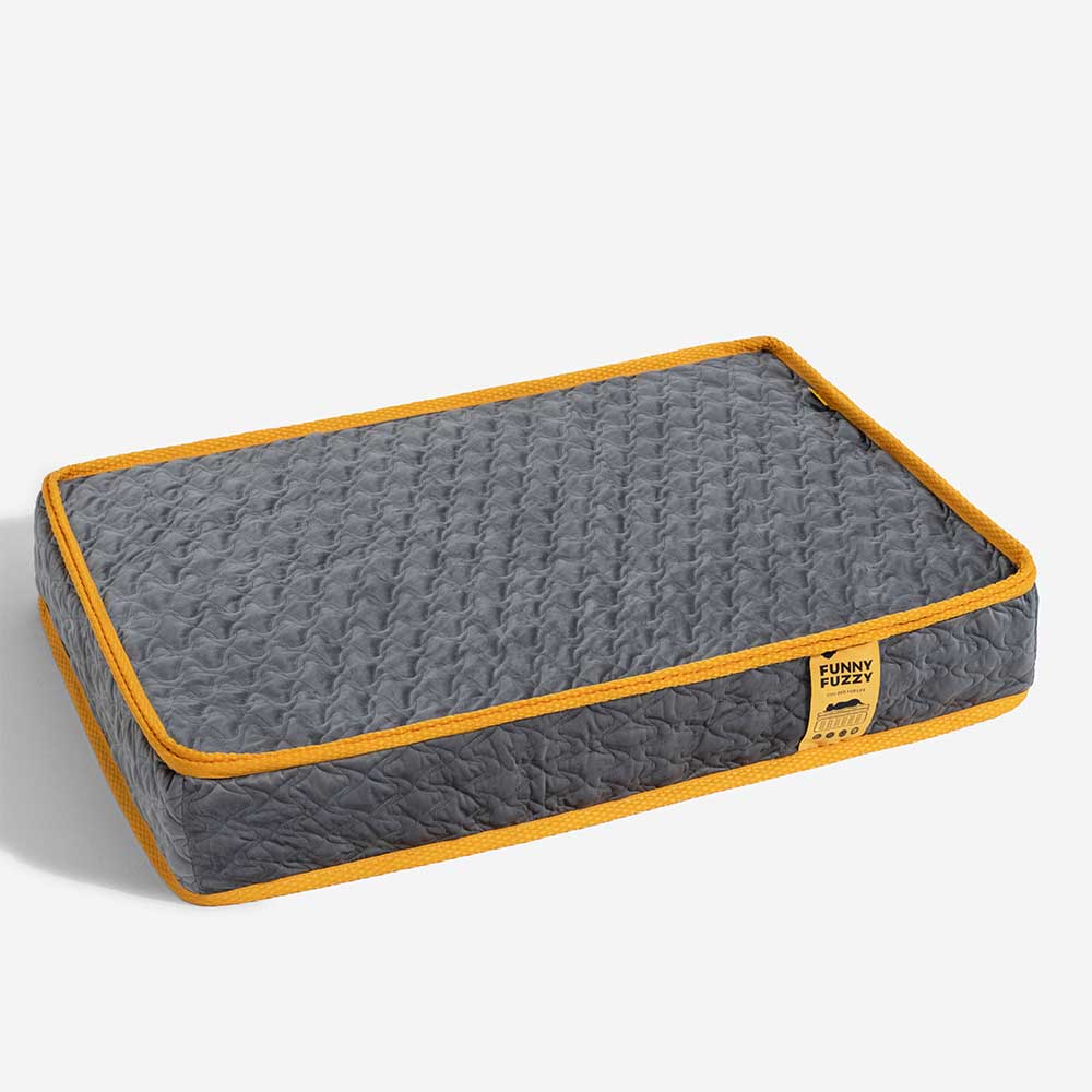 Hooman Innerspring Coils Orthopedic Human Dog Bed - Everdream