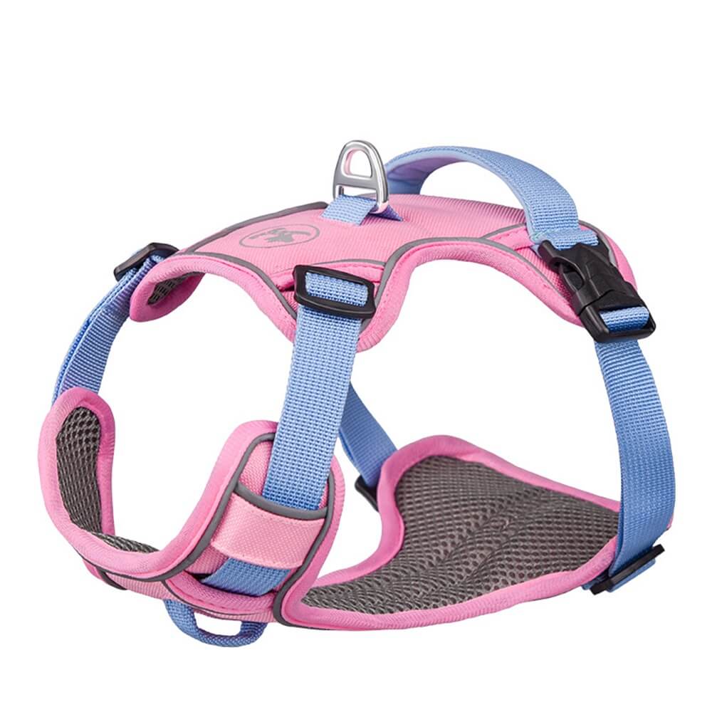 Contrast Color Explosion-Proof Dog Leash and Reflective Vest Harness