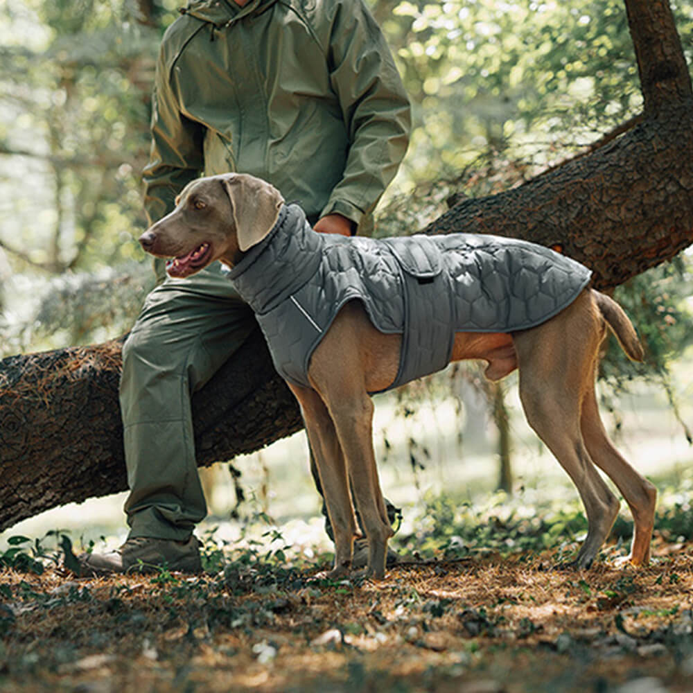 Quilted Outdoor Dog Vest - Warm and Durable for Hiking and Adventures