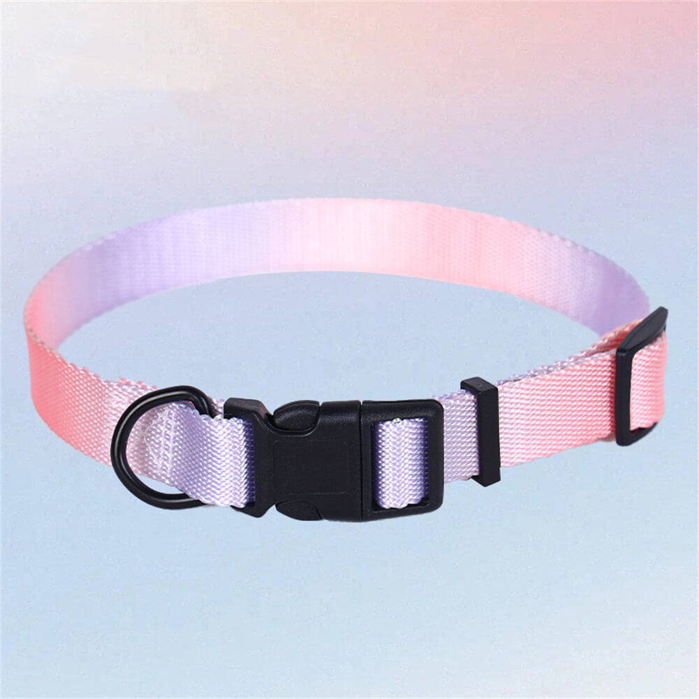 Colorful Gradient Dog Traction Rope and Chest Harness - Anti-Breakaway Design