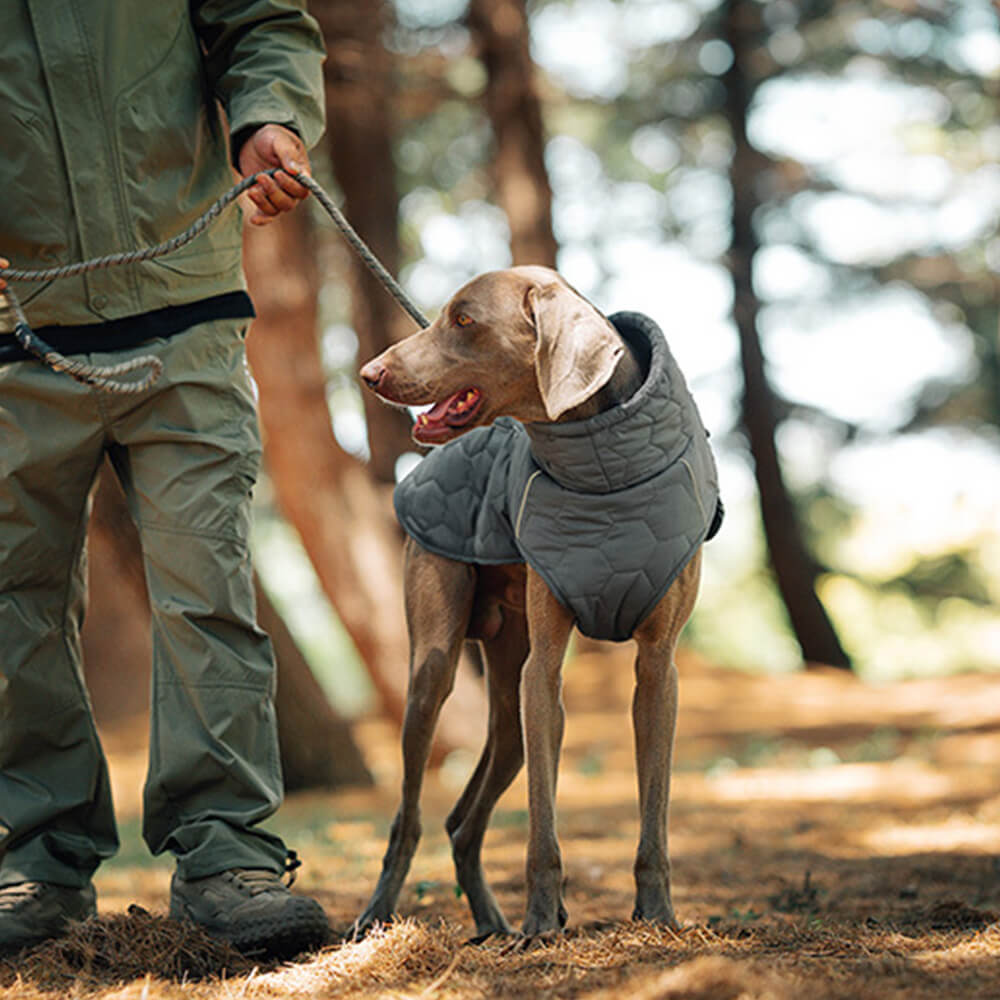 Quilted Outdoor Dog Vest - Warm and Durable for Hiking and Adventures