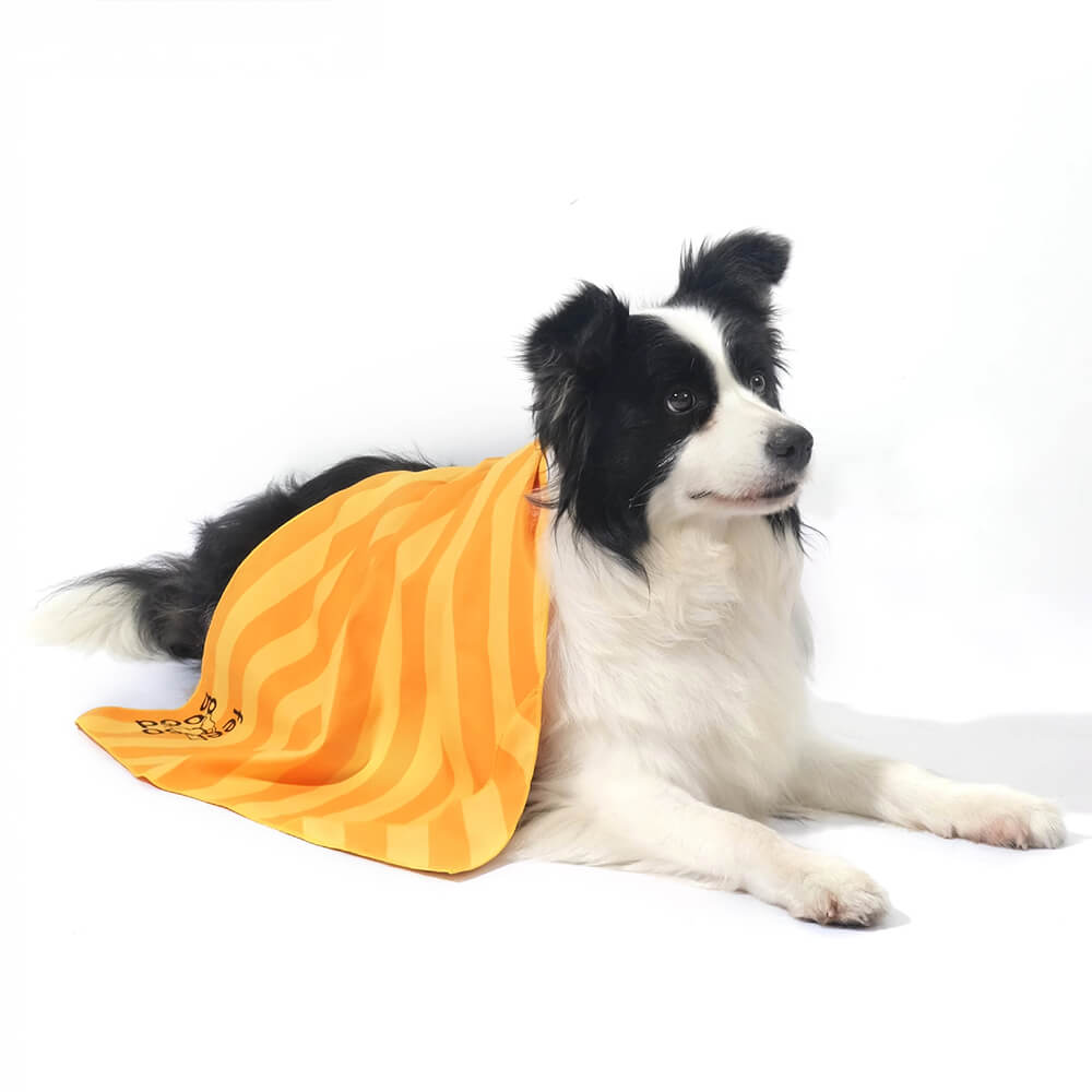 Ultra-Absorbent Lightweight Quick-Dry Travel Dog Towel Blanket