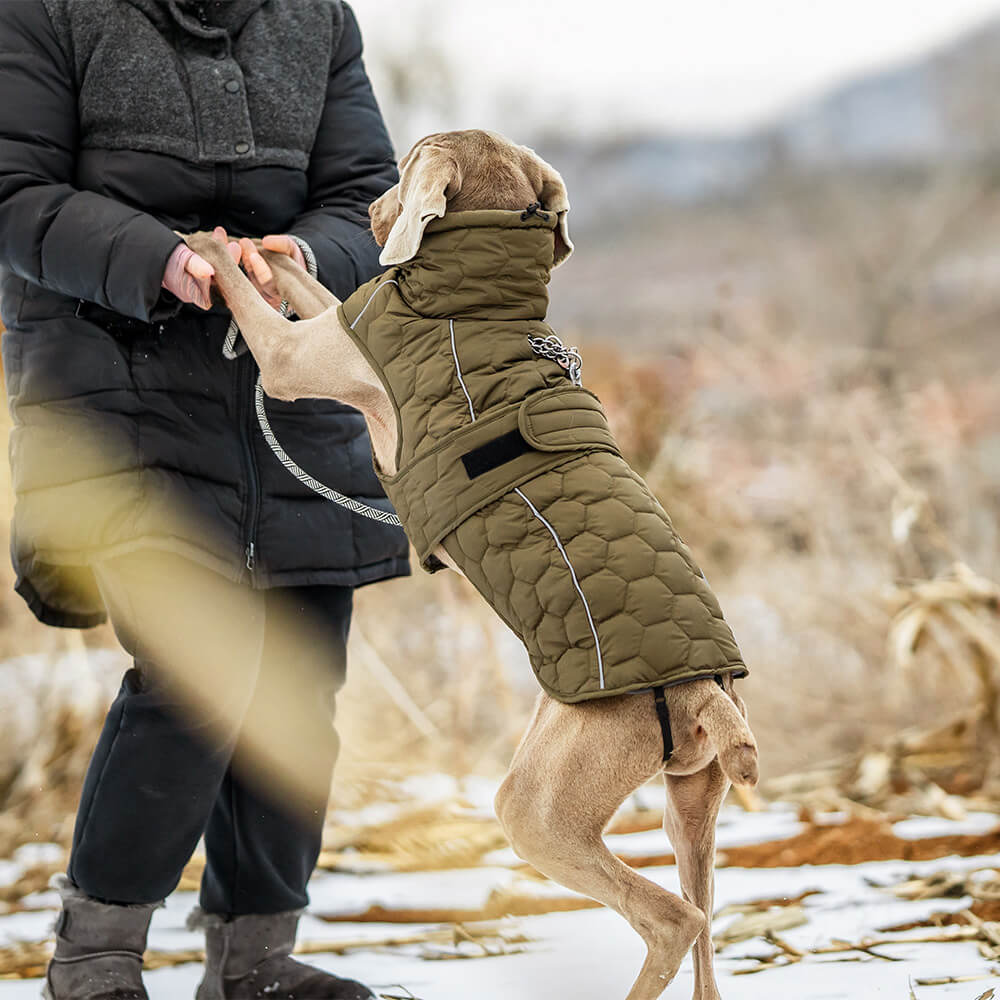 Quilted Outdoor Dog Vest - Warm and Durable for Hiking and Adventures