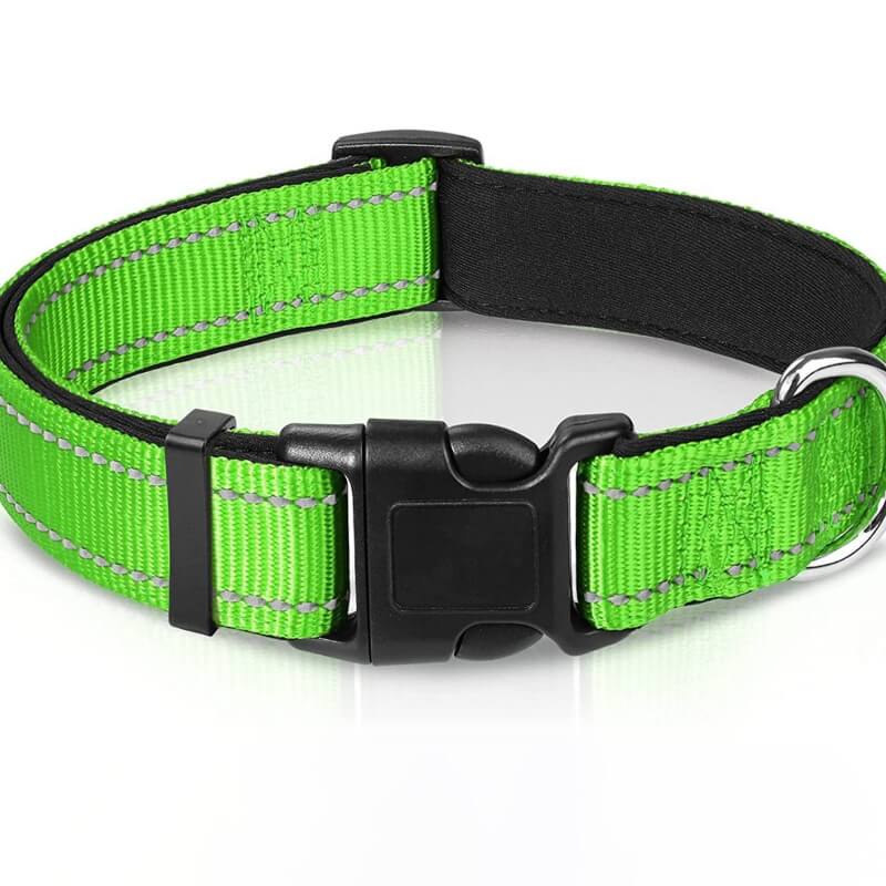 Adjustable Reflective Safety Nylon Dog Collar