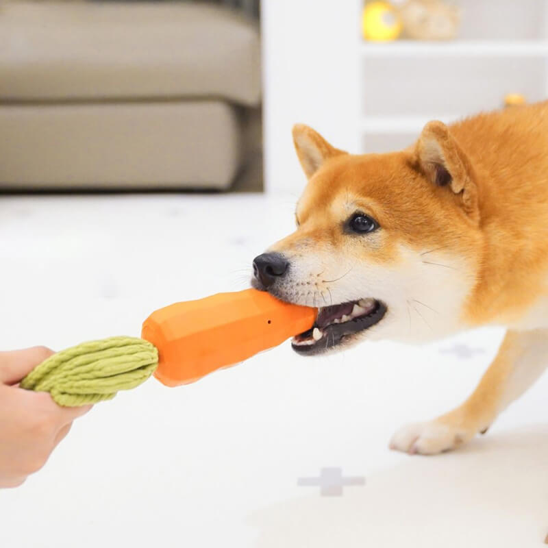 Carrot Squeaky Toy Durable Dog Chew Toy