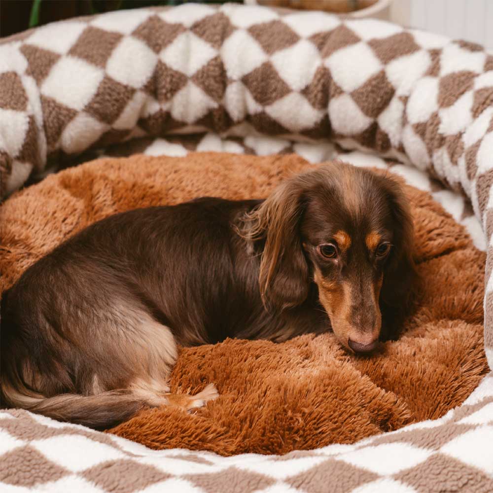 Classic Argyle Washable Bolster Donut Dog Bed - Cozy Haven