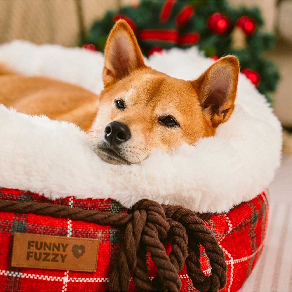 Klassisches Donut-Hundebett aus Jacquard-Plüsch – Kuschelhöhle