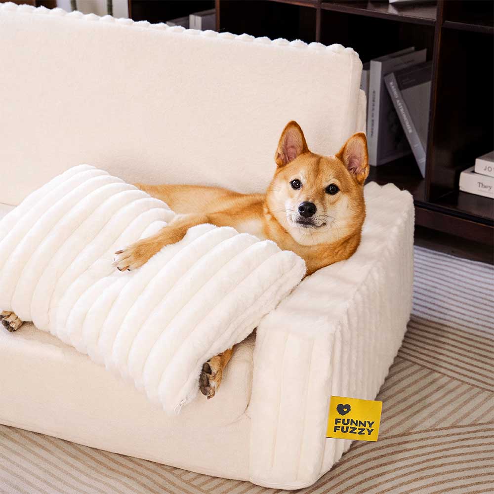 Creamy Fluffy Orthopedic Human-Dog Bolster Bed - Expandable Comfort