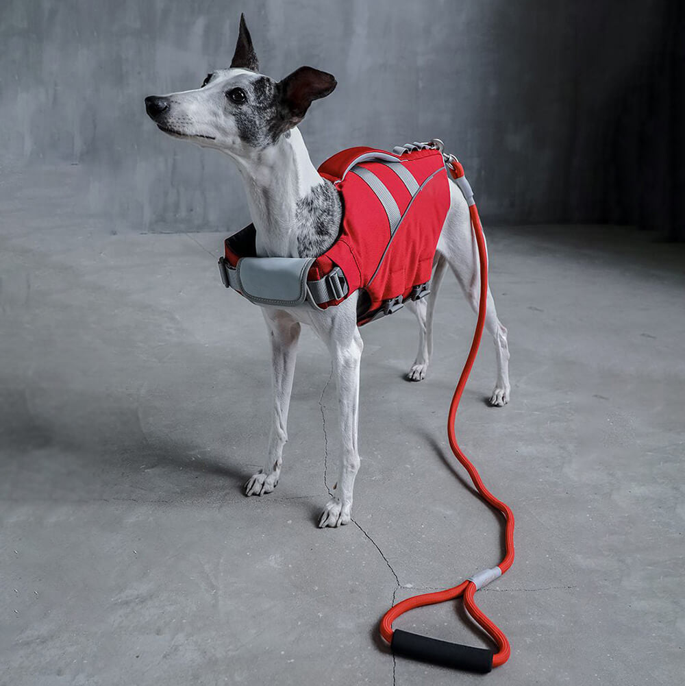 Dog Life Jacket - Lifeguard