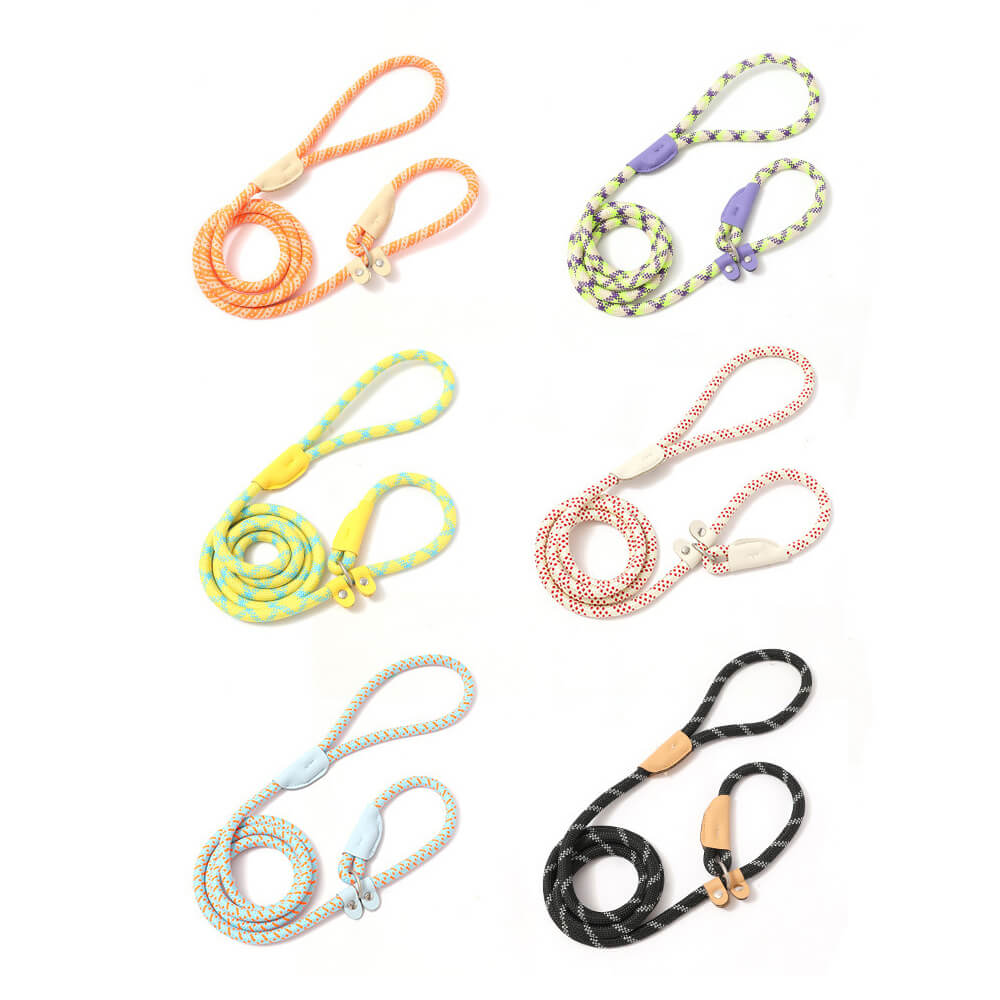 Explosion-Proof Nylon Braided Dog Leash Non-Pull