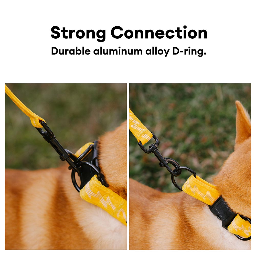 FUNNYFUZZY Adjustable Nylon Durable Dog Collar - Flexi Walker