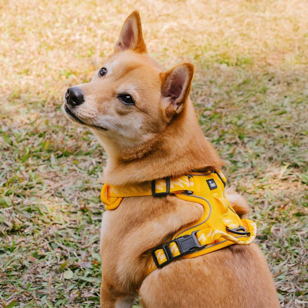 FUNNYFUZZY Reflective Adjustable Outdoor Dog Harness - Flexi Walker