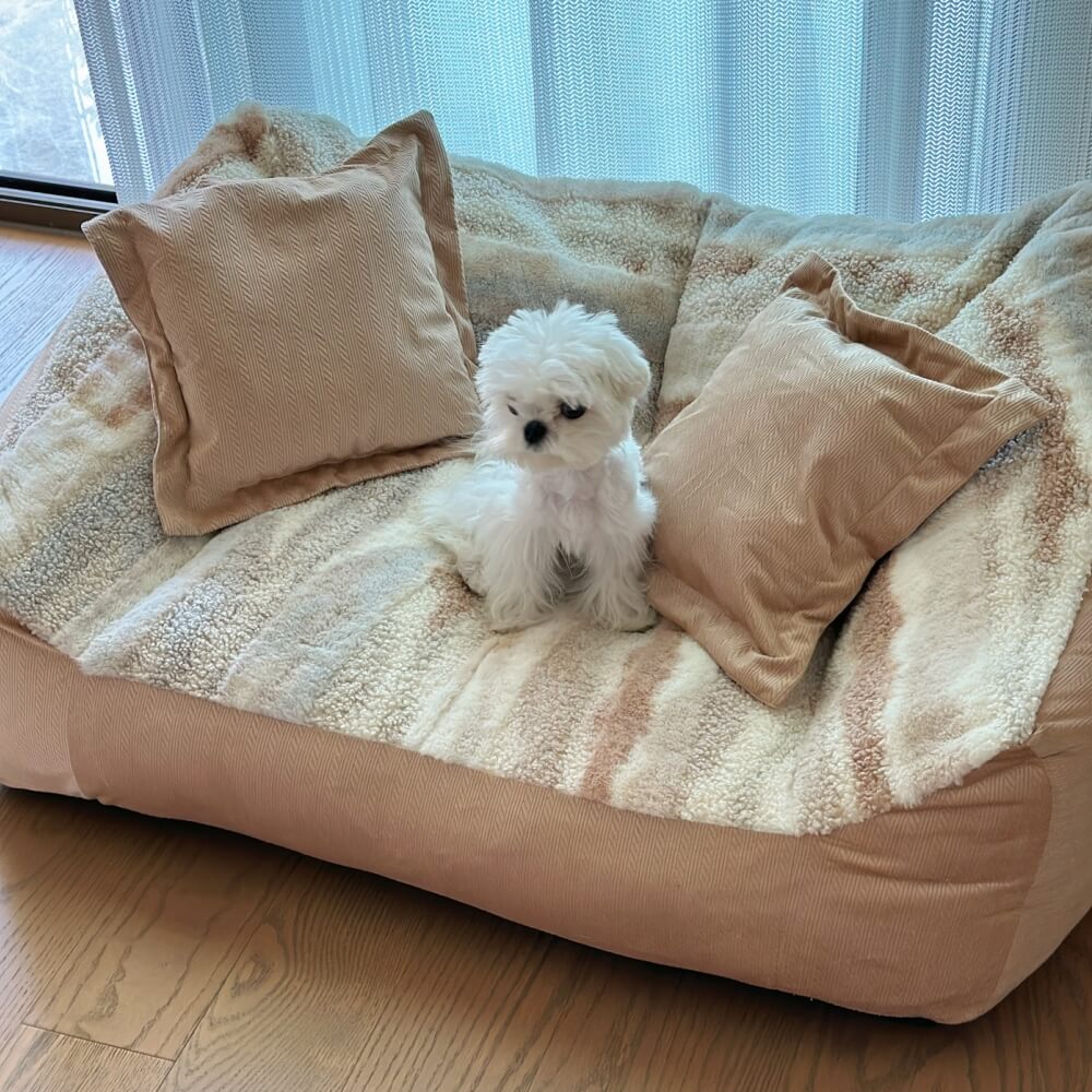 Fashion Color Block Polar Fleece Dog Sofa Bed