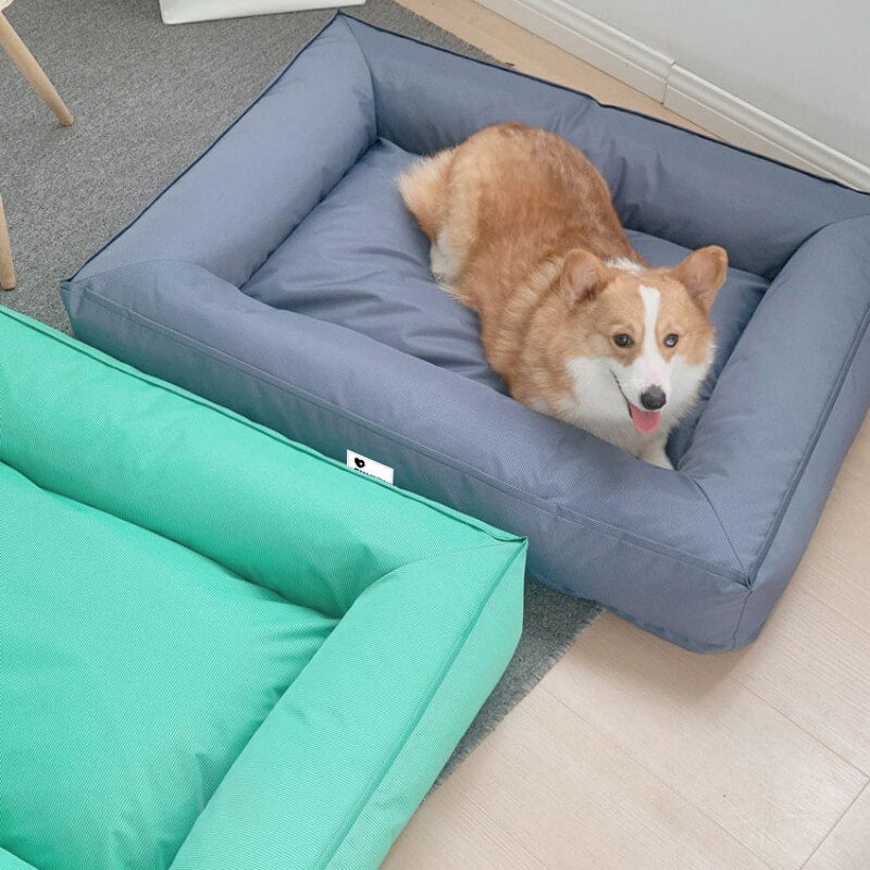 Fully Orthopedic Surround Support Waterproof Large Dog Bed