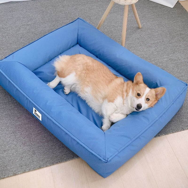 Fully Orthopedic Surround Support Waterproof Large Dog Bed