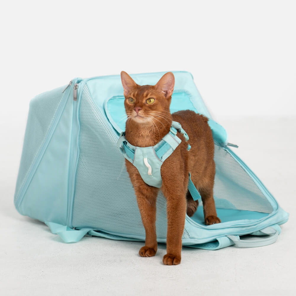 Breathable Nylon Foldable Lightweight Dog & Cat Backpack