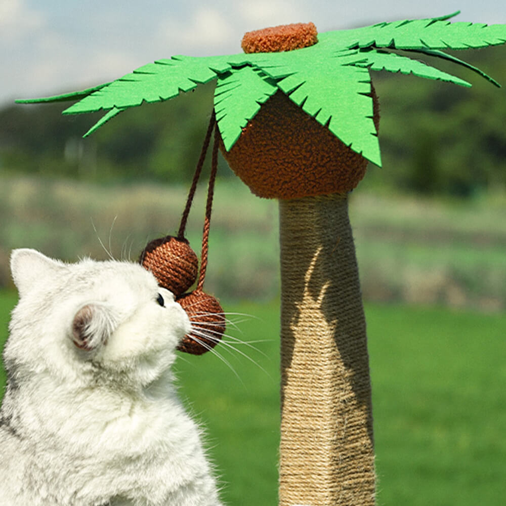 Cat Beach Vacation Lounger with Scratching Board