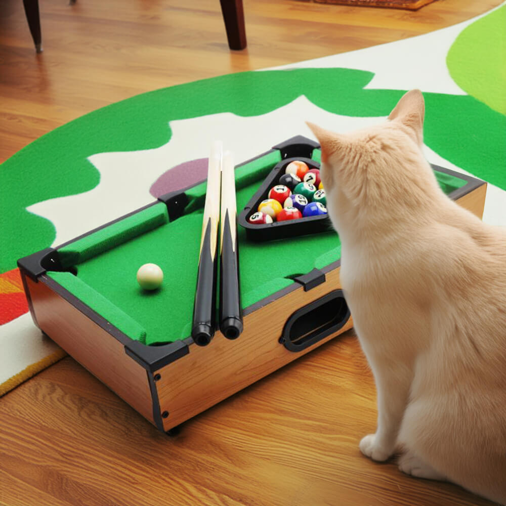 Fun Playtime Interactive Toy Table Top Billiards Game