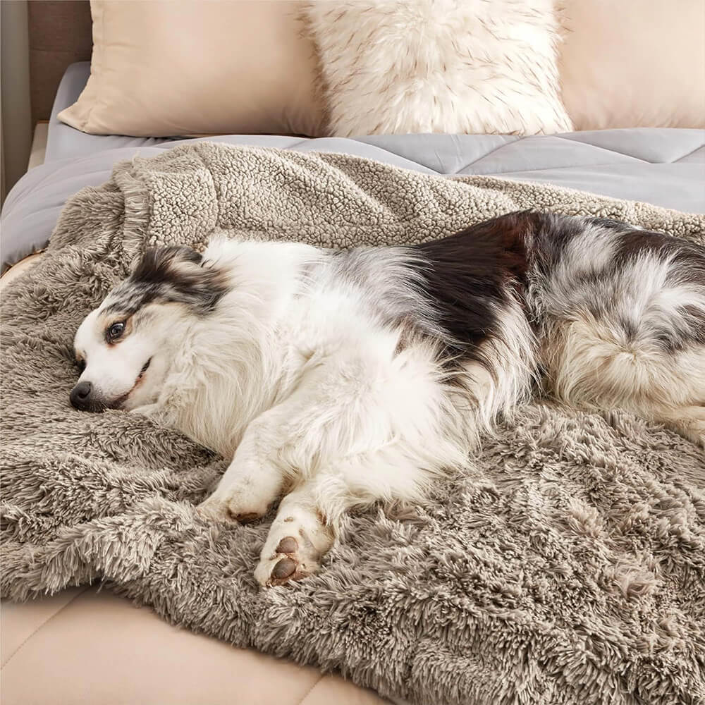 Luxurious Waterproof Plush Warm Multi-Purpose Home Dog Blanket