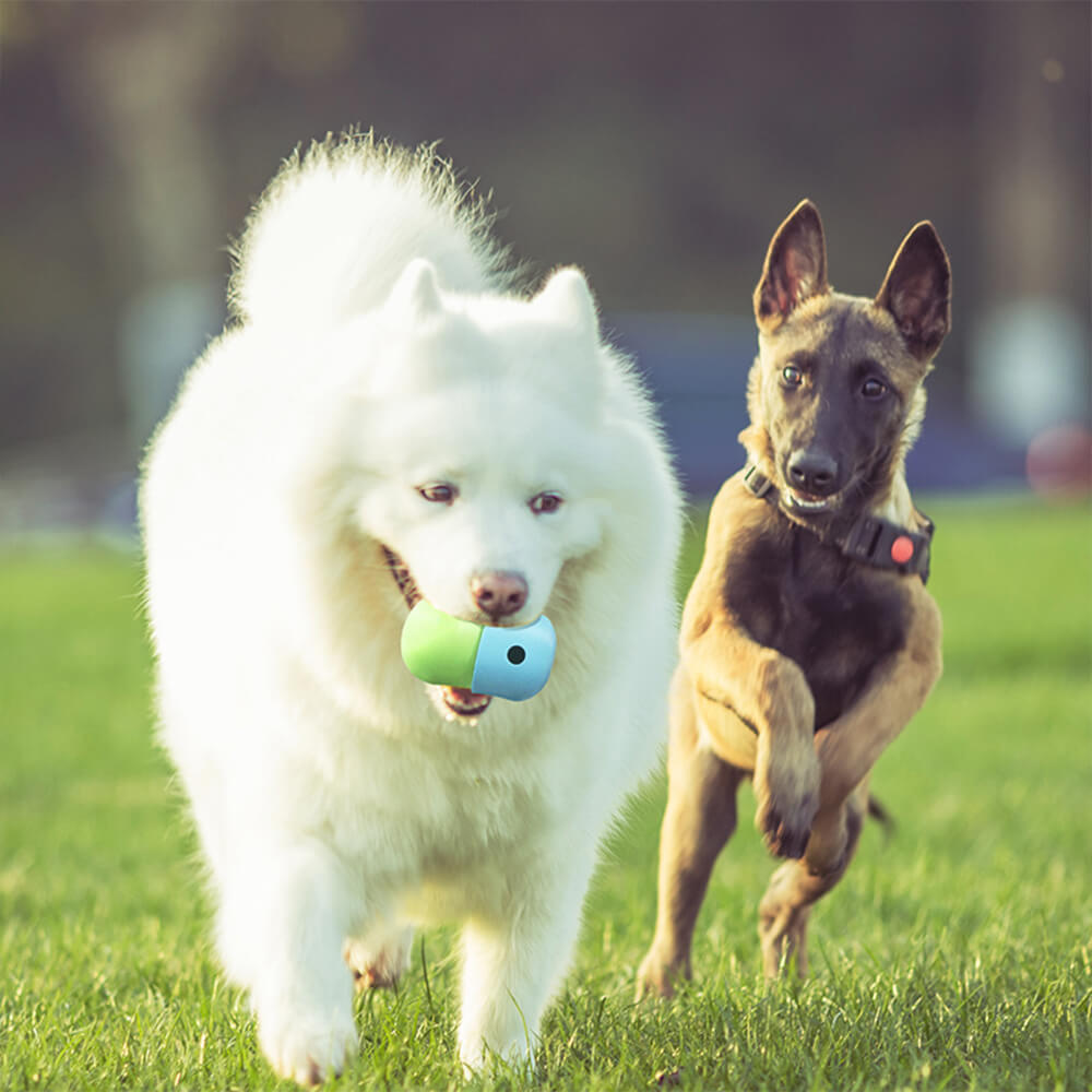 Rolling Treat Ball Interactive Silicone Dog Toy