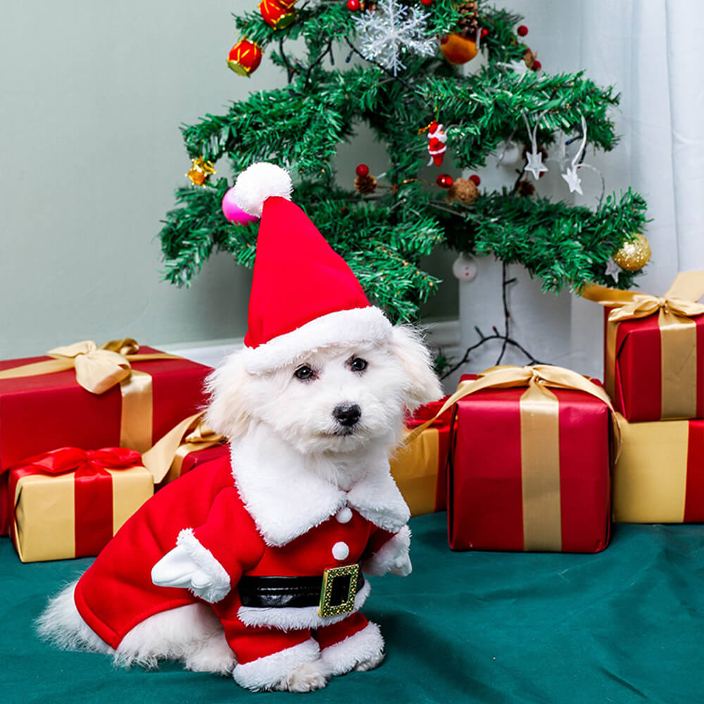 Stereoscopic Christmas Santa Claus Outfit Hat Cosplay Dog Costume