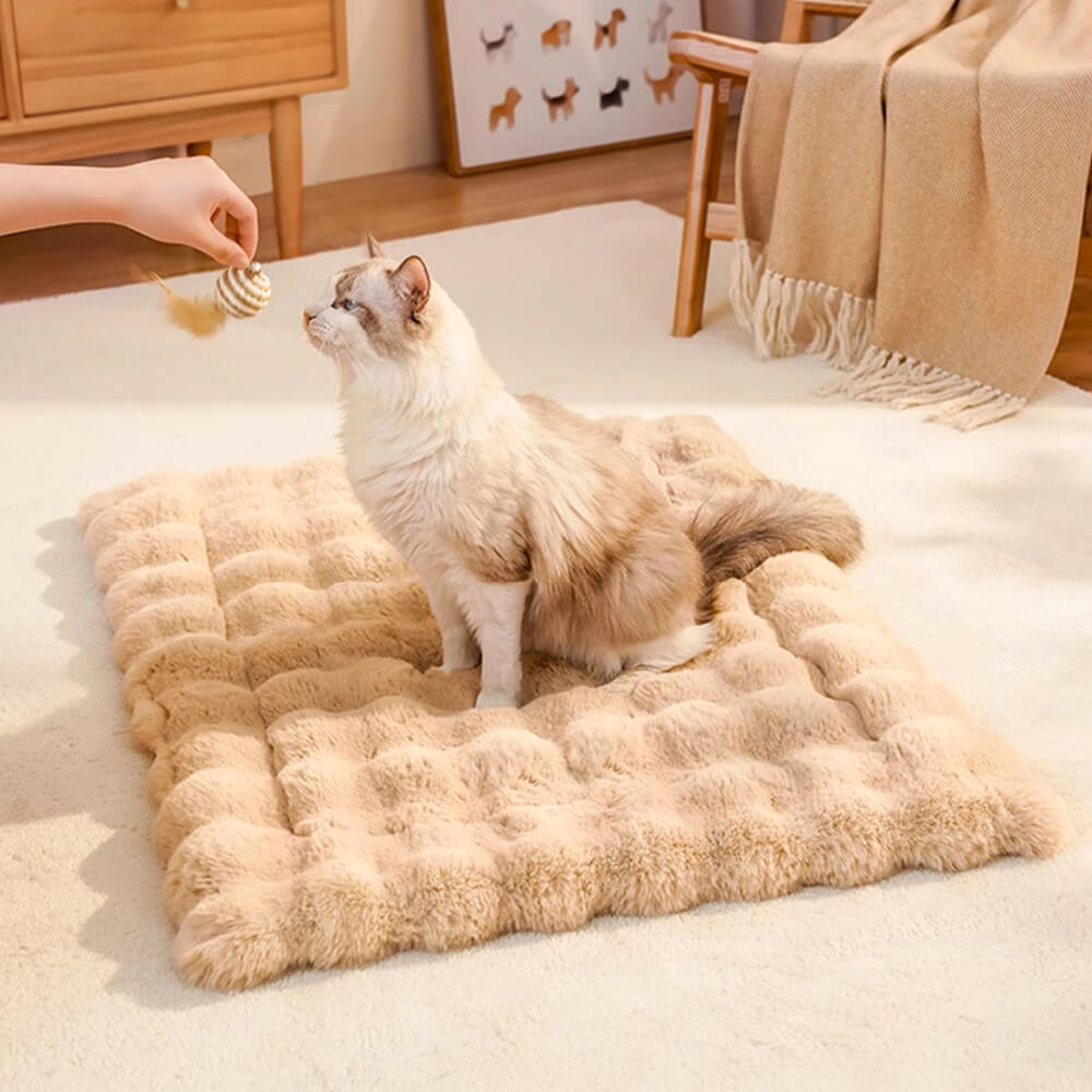 Wave Pattern Ultra Soft Faux Rabbit Fur Dog & Cat Mat With Pet Pillow