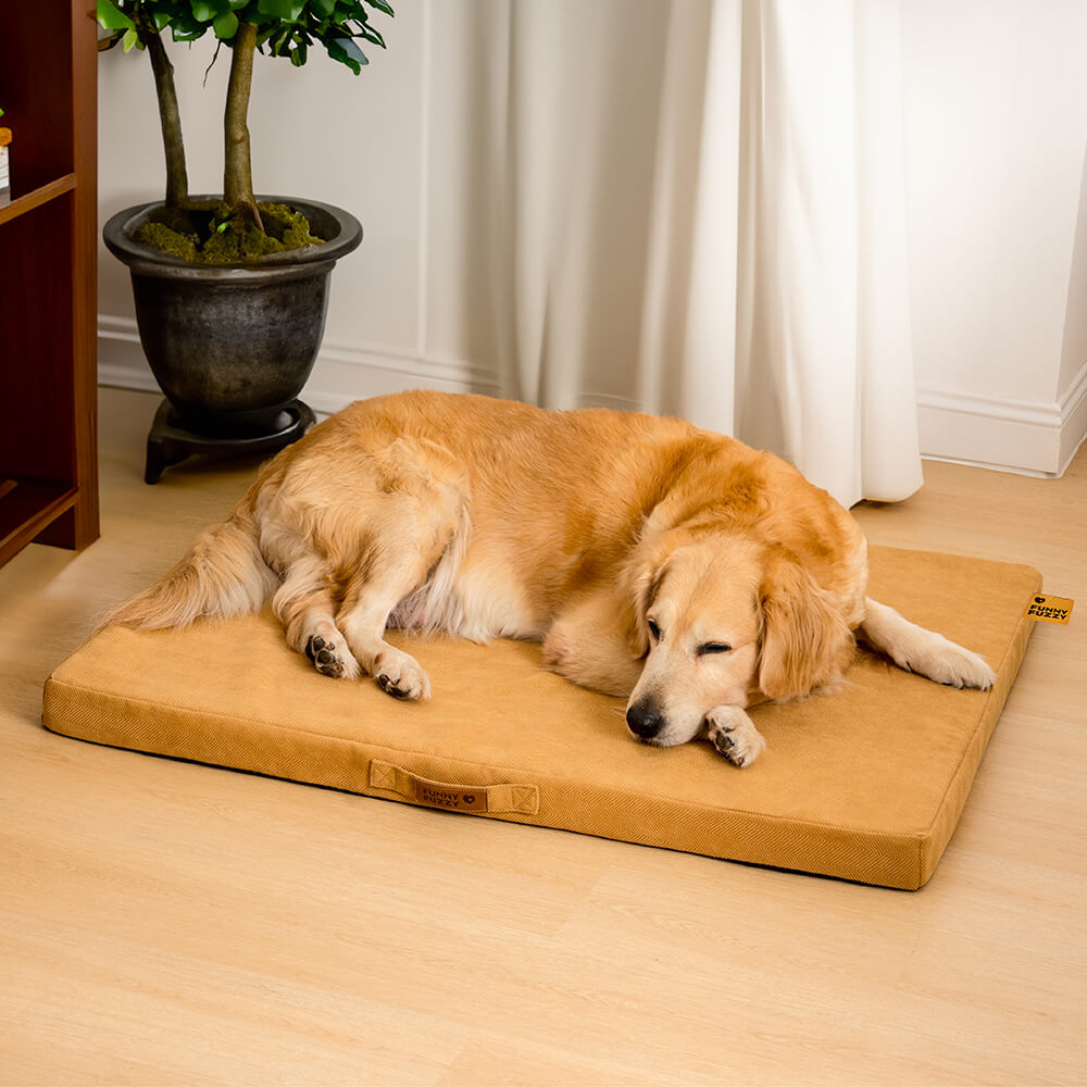 Portable Orthopedic Foam Support Bed Dog Bed