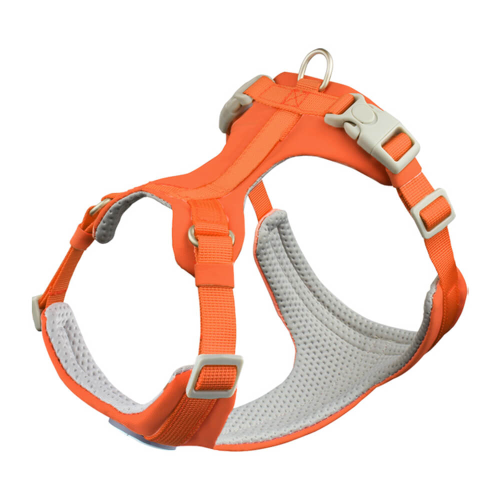 Complete Control Comfortable No-Pull Dog Harness and Leash Kit