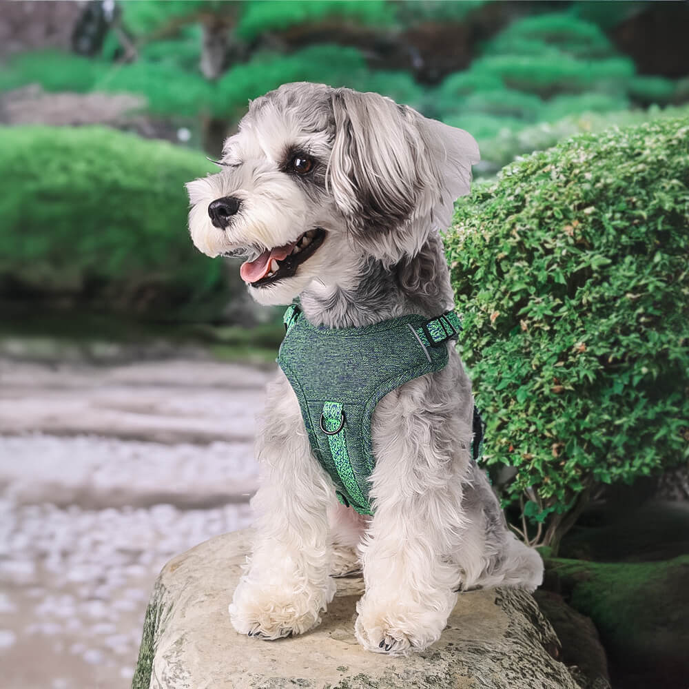 Eco-friendly Recycled Fabric No-Pull Dog Harness and Leash