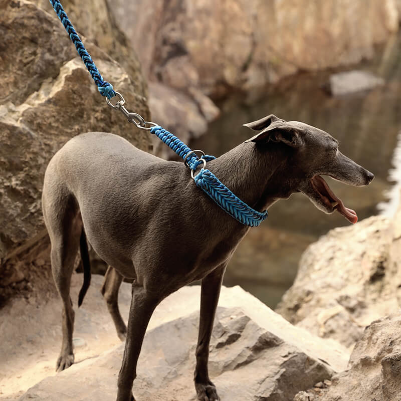 Handgefertigtes, leuchtendes Anti-Pull-Hundehalsband und Leine für große Hunde