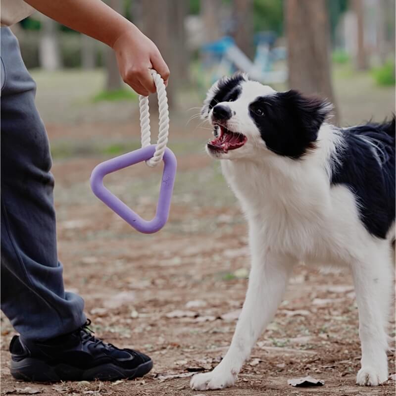 Interactive Tug-of-War Dog Toy Teeth Cleaning Rubber Chew Toy