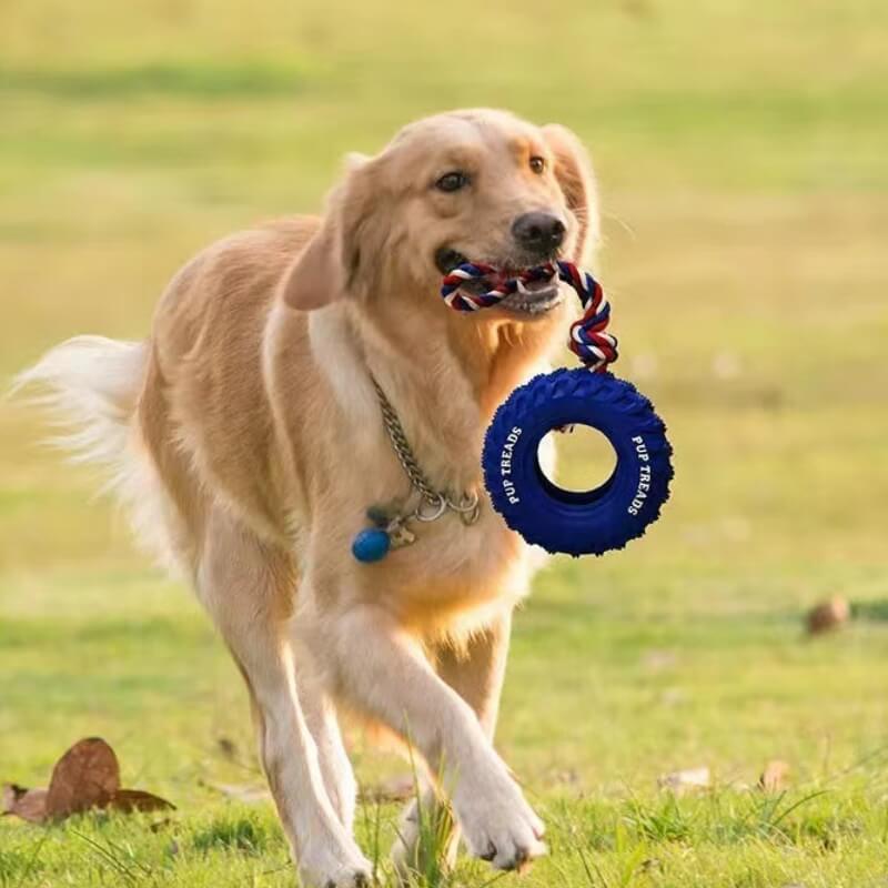 Rubber Tire Dog Interactive Toy Teething and Chewing Toy