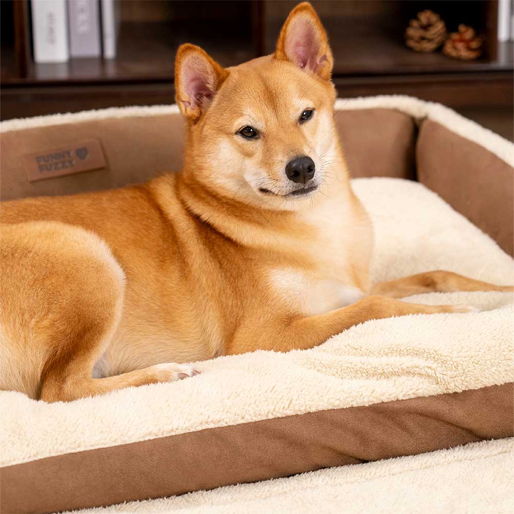 Stylish Expandable Ergonomic Calming Dog Bed - Tranquil Paws