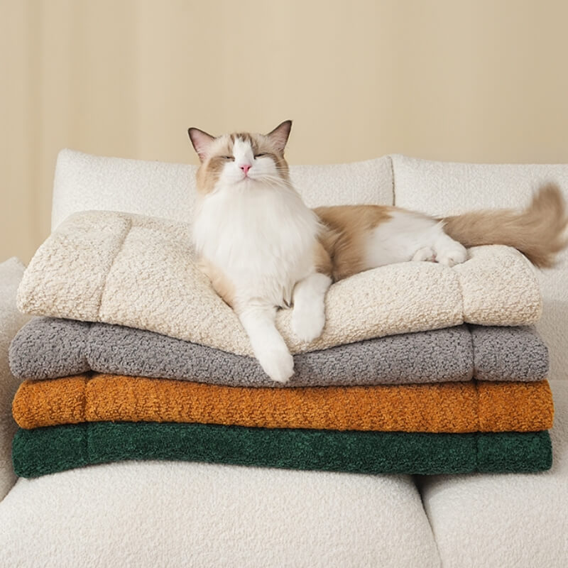 Warm Comfortable Non-slip Plush Pet Mat