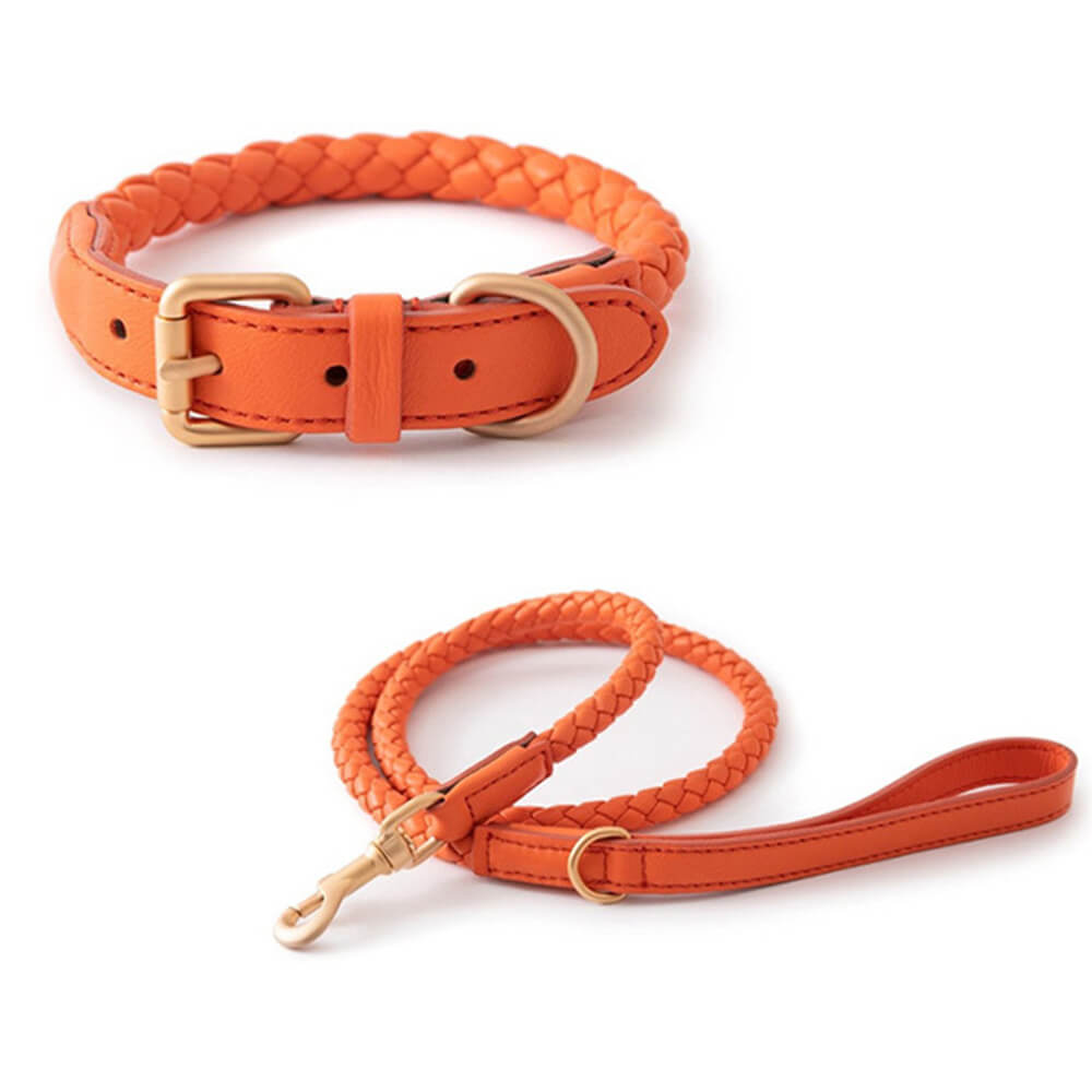 Hand-Woven Faux Leather Puppy Collar and Leash Dog Walking Set