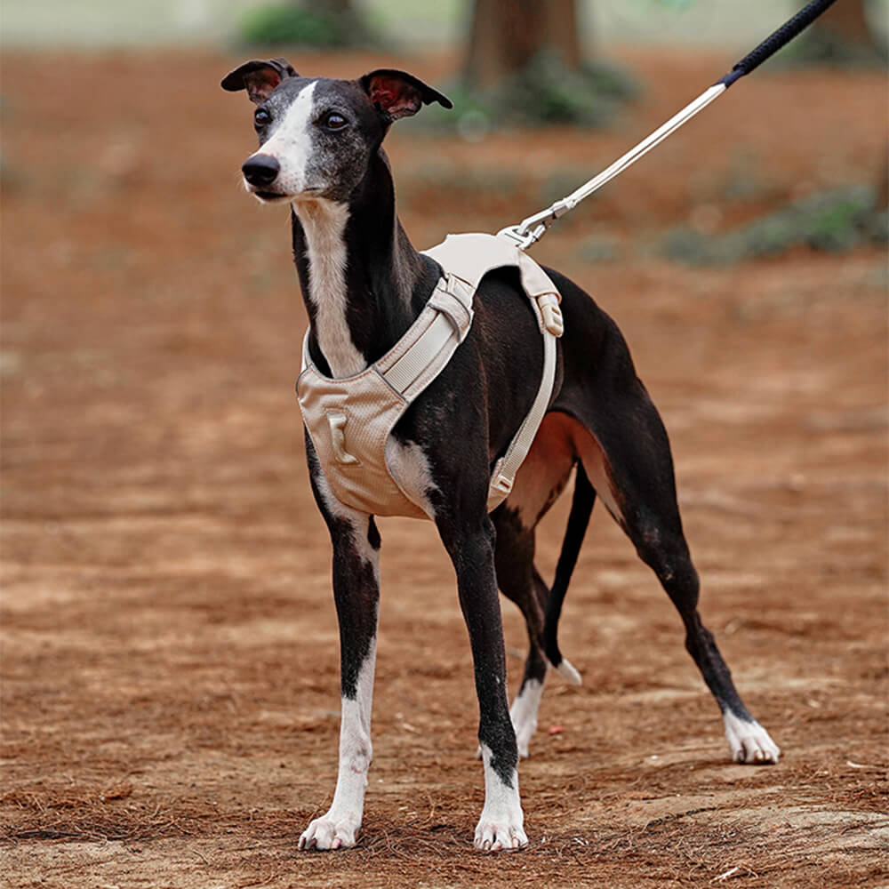 Leichtes, wasserdichtes, atmungsaktives Anti-Pull-Hundegeschirr und multifunktionale Leine