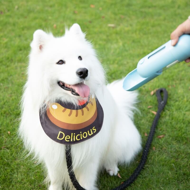 Haustier-Halstuch, wasserdicht, cooles Hundezubehör, Drool-Lätzchen, Wurst