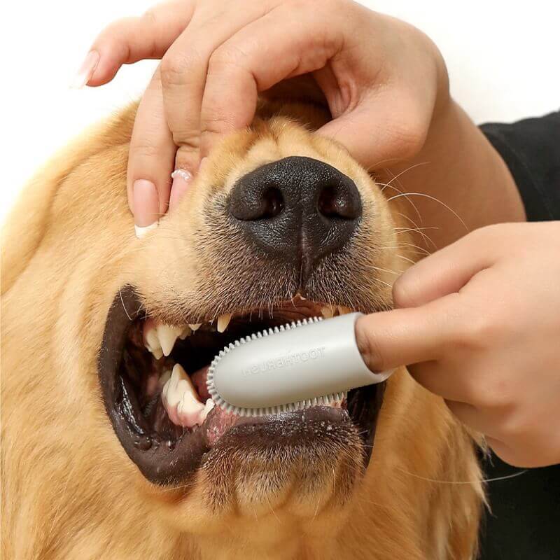 Pet Toothbrush Finger Toothbrush for Teeth Cleaning