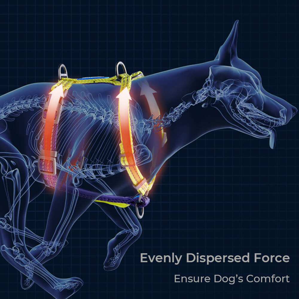 Arnés de equilibrio reflectante con cuello y hebilla Arnés para perros sin tirones