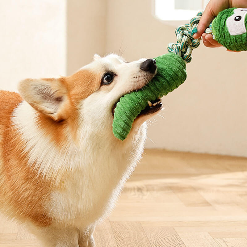 Rope Squeaky Dog Interactive Toy - Animal Series