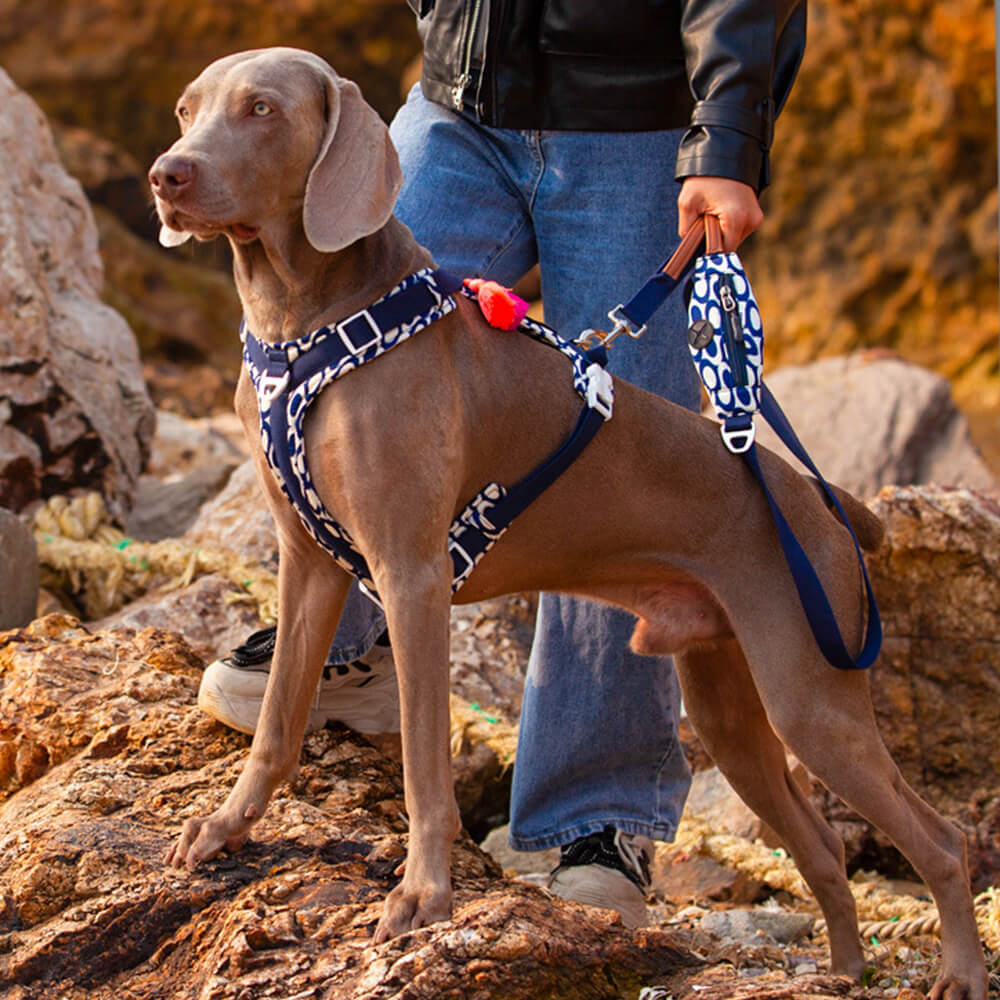 Ensemble de marche avec harnais et laisse pour grand chien, anti-traction sécurisé, avec sac de promenade