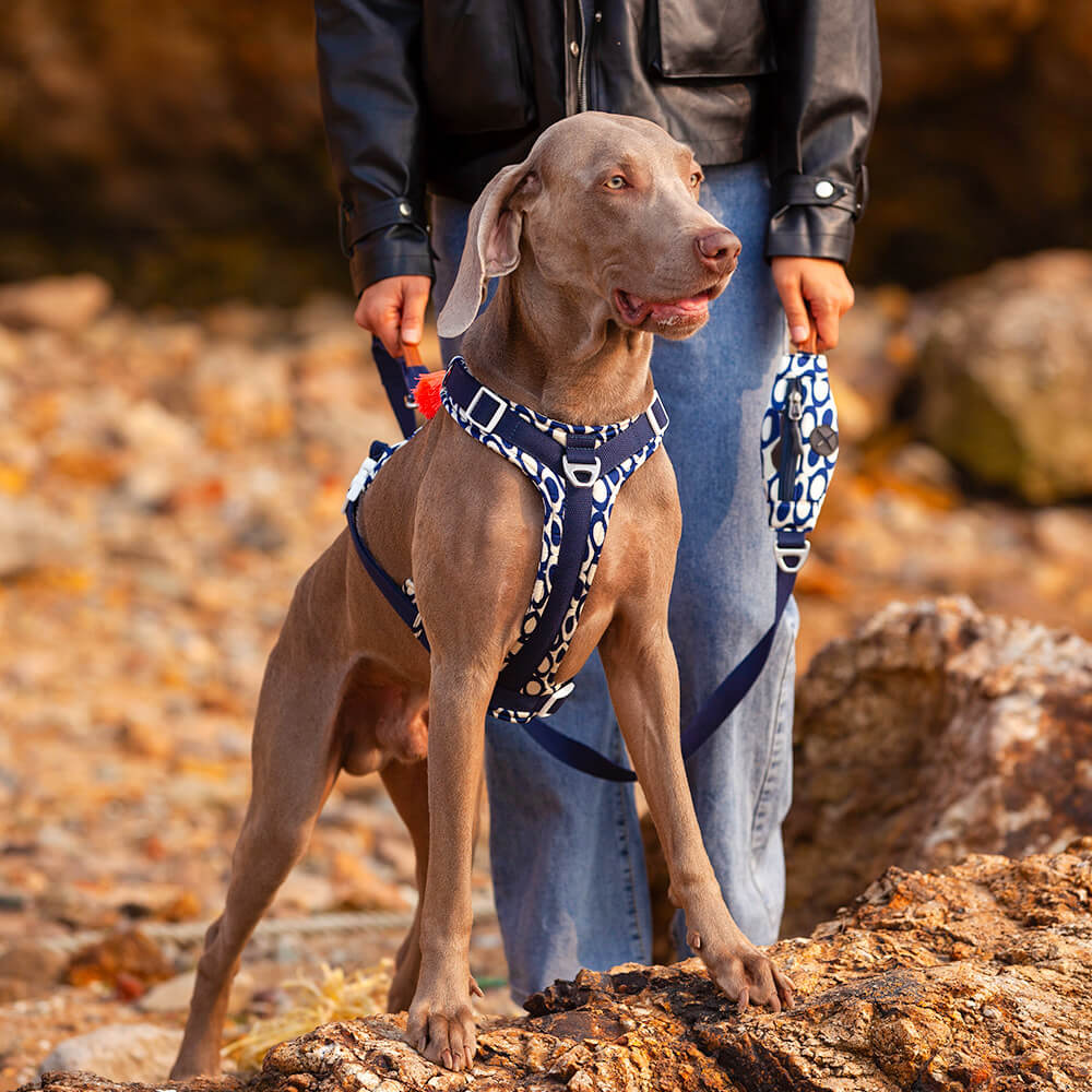 Ensemble de marche avec harnais et laisse pour grand chien, anti-traction sécurisé, avec sac de promenade