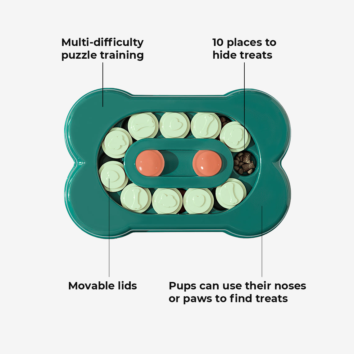 Sliding Foraging Tray