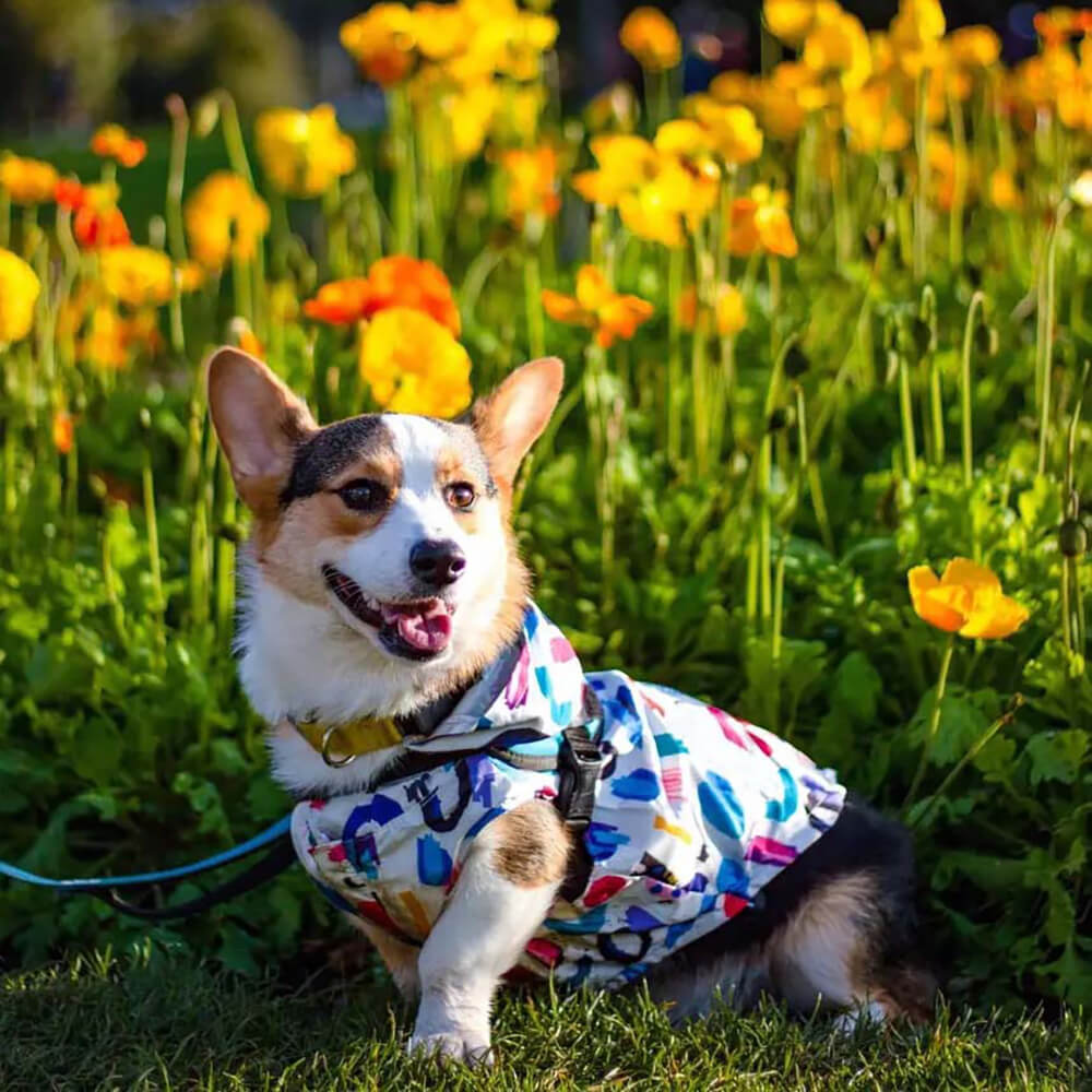 Reversible Waterproof Dog Rain Coat - Graffiti & Iridescent